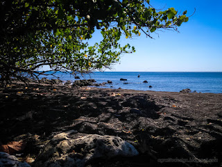 Tropical Fishing Rocky Beach Scenery Under The Tree In The Dry Season At The Village Umeanyar North Bali Indonesia