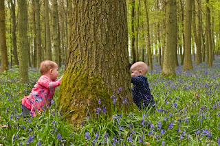 Babies and children playing in blubell woods