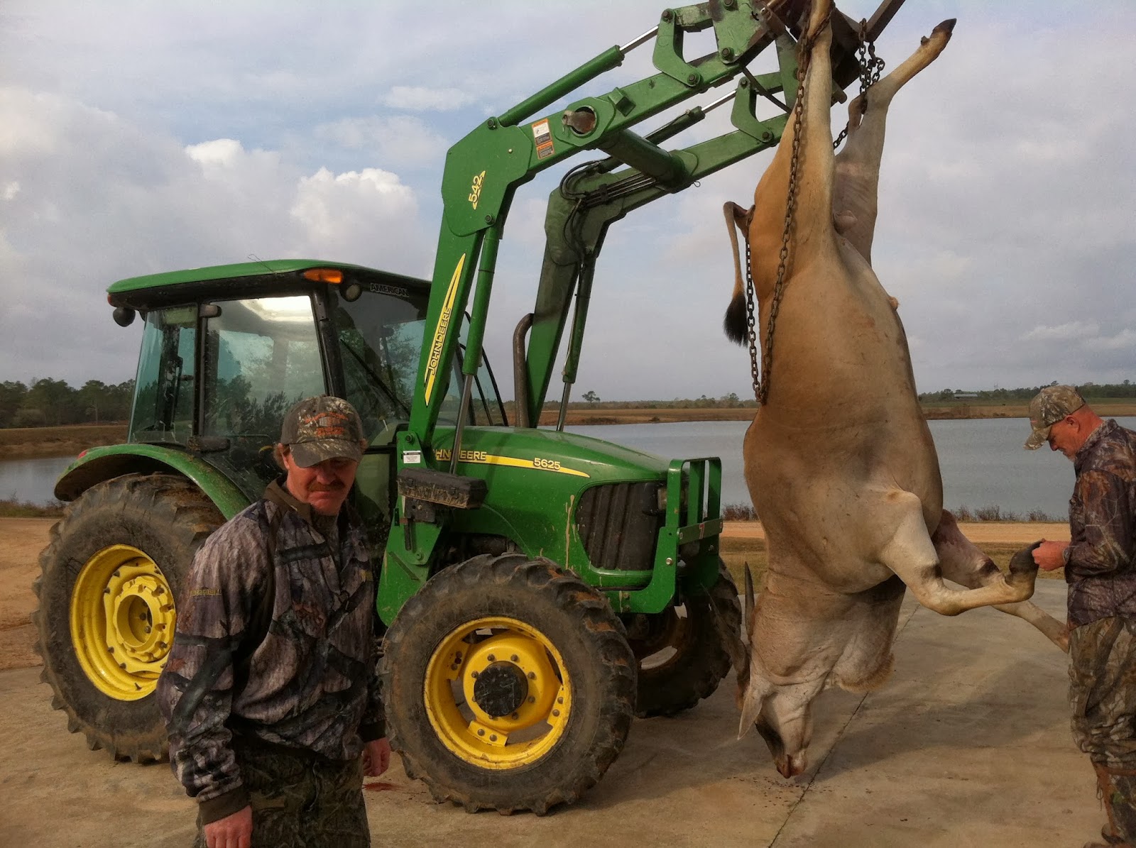 The Hunting Company Worldwide Hunting and Film Mississippi Eland
