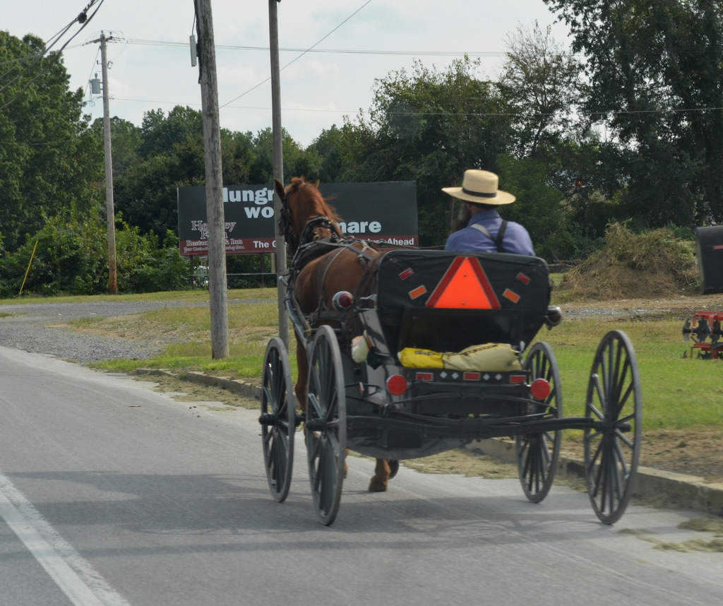 Westie Julep The Journey for Fabric in the Amish Country of PA