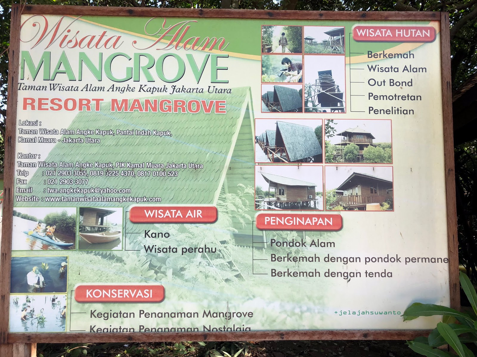 Jelajah Keluarga Suwanto: Wisata Konservasi Mangrove Jakarta
