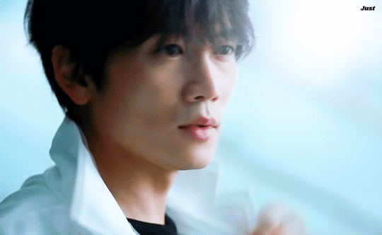 SpanishFrequentIndusriverdolphin-size_re