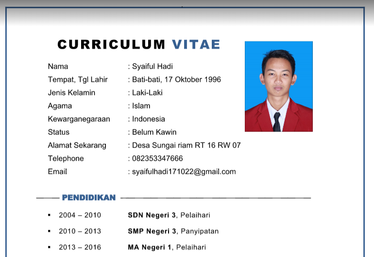 Curriculum Vitae Contoh Cv Lamaran Kerja Pdf