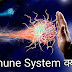 Immune System Meaning In Hindi | Immune System क्या होता है