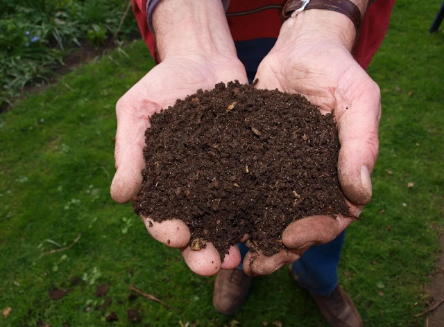 how to make compost from kitchen waste