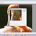 تحميل برنامج Artweaver Plus لإنشاء ملفات الصور وتحريرها تحميل برنامج Artweaver Plus لإنشاء ملفات الصور وتحريرها