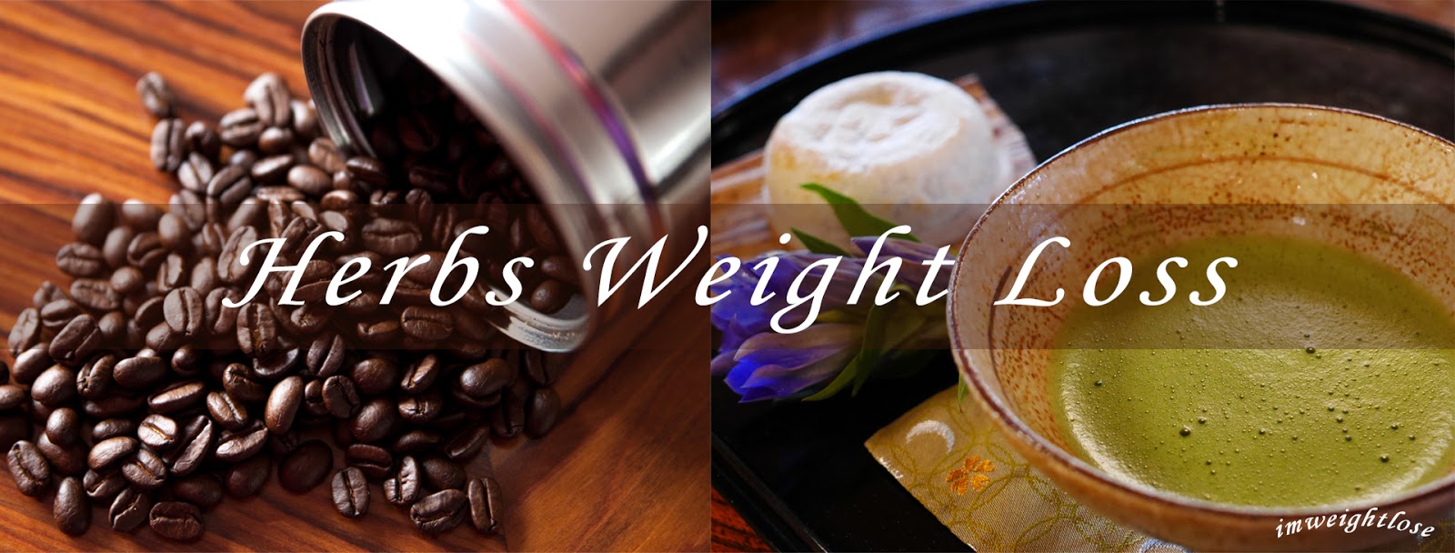 Herbs for Weight Loss Weightloss