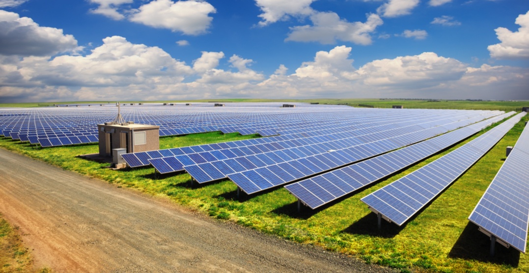 SOLAR FARM WORK / MACKAY QLD / 35.90 PER HR /2ND OR 3RD YEAR VISA ELIGIBLE
