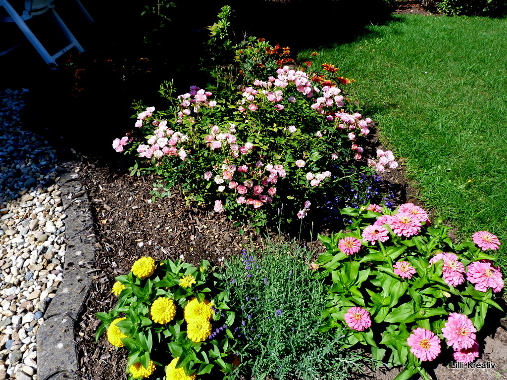 Das Leben Ist Eine Leinwand Jeden Tag Kommt Ein Neuer