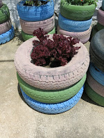 Eco Huerto con neumáticos y lechugas. Benarrabá AEA Bosque Animado