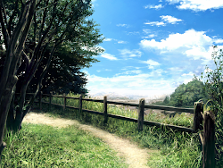 anime scenery background outdoor landscape forest nu