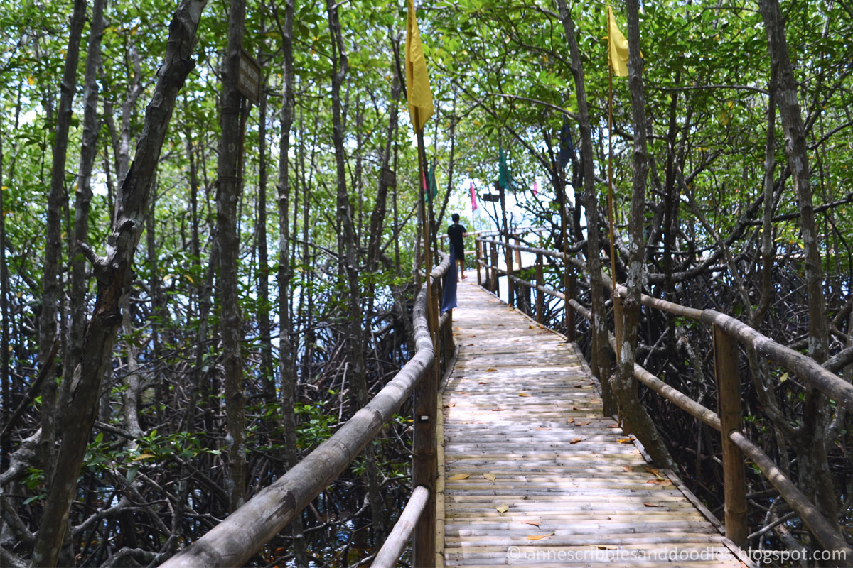 Puerto Galera Mangrove Conservation and Ecotourism Area | Anne's Scribbles and Doodles