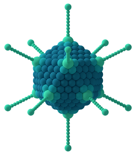 Kübik simetrili virüs şeması.