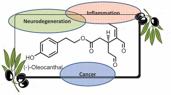 салат с добавлением оливкового масла. Смотреть фото салат с добавлением оливкового масла. Смотреть картинку салат с добавлением оливкового масла. Картинка про салат с добавлением оливкового масла. Фото салат с добавлением оливкового масла салат с добавлением оливкового масла. Смотреть фото салат с добавлением оливкового масла. Смотреть картинку салат с добавлением оливкового масла. Картинка про салат с добавлением оливкового масла. Фото салат с добавлением оливкового масла