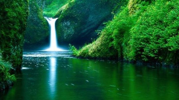 Sebutkan Empat Macam Masalah Lingkungan Hidup Sebutkan