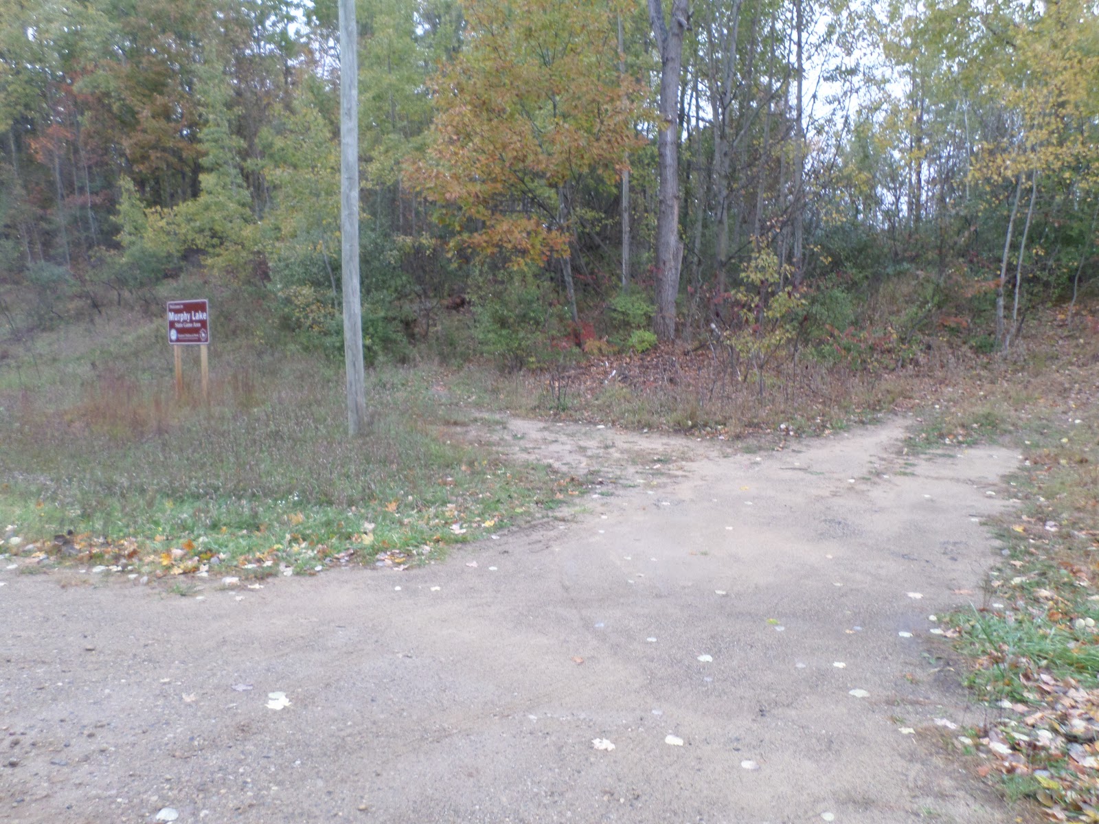 Mitten Tracks Murphy Lake State Game Area, part two Murphy Lake Rd
