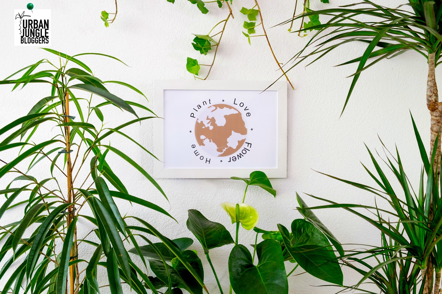 Plants & Words: inspiratie voor je huis - Urban jungle bloggers Plants & Words: inspiratie voor je huis - Urban jungle bloggers