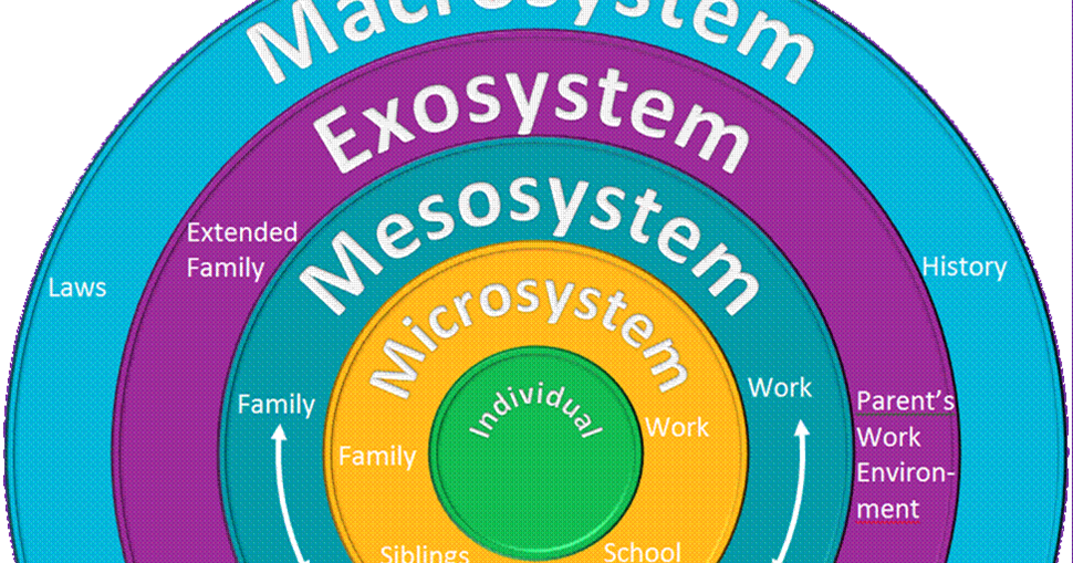 Modern Ecological Theory Model