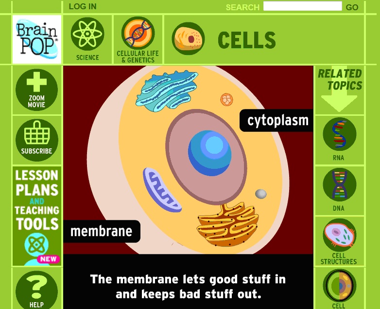 SCIENCE BLOG FOR PRIMARY PUPILS