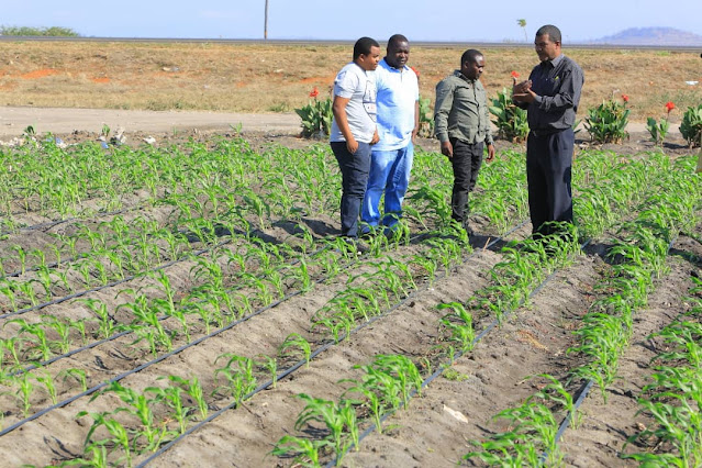 MRADI WA MAJARIBIO WA KILIMO CHA MTAMA WA TBL PLC , FTMA, WFP WANUFAISHA WAKULIMA 1,300 NCHINI