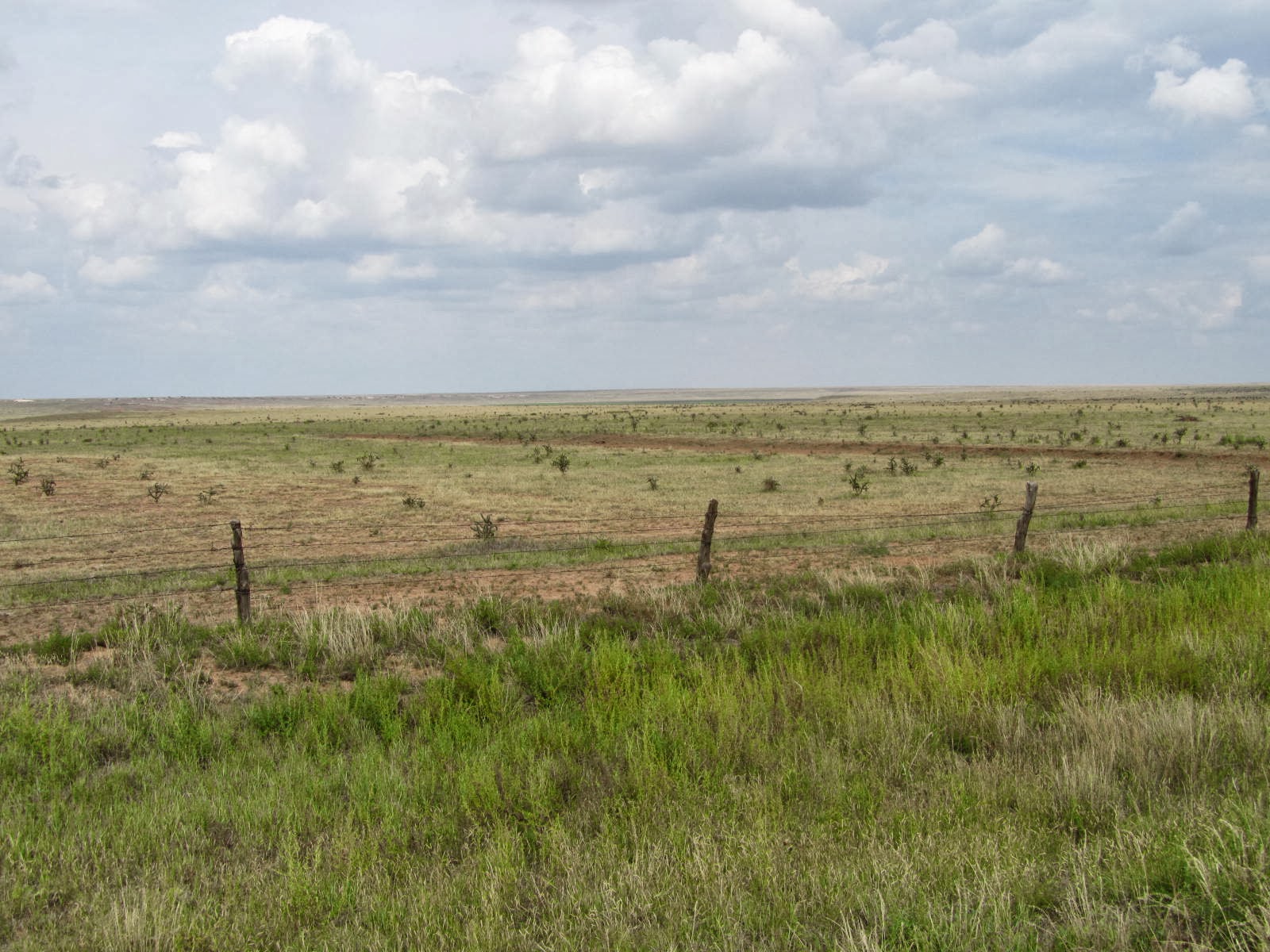 autoliterate El Llano Estacado Texas & New Mexico