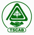 TSCAB Recruitment 2017, www.tscab.org