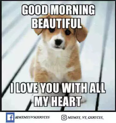 Click and get 101 best I Love You Meme that you can get anywhere else. I Love You Meme