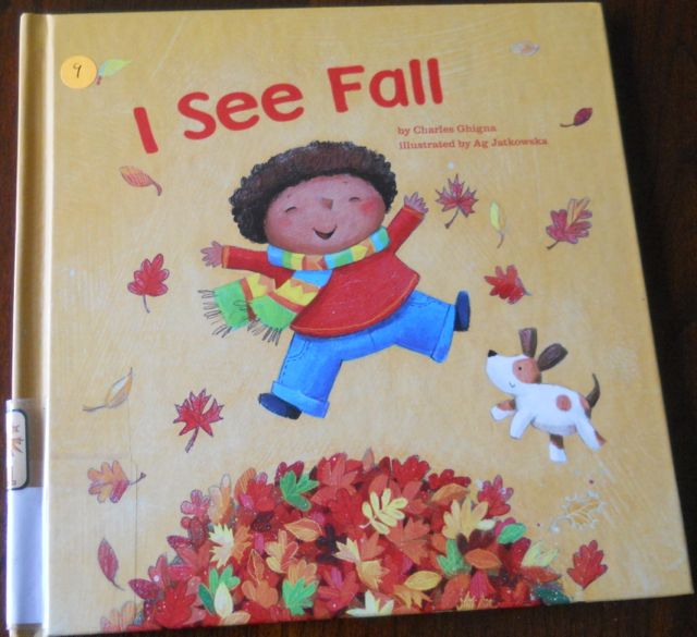 Blue Sky Big Dreams Fall Into A Good Book