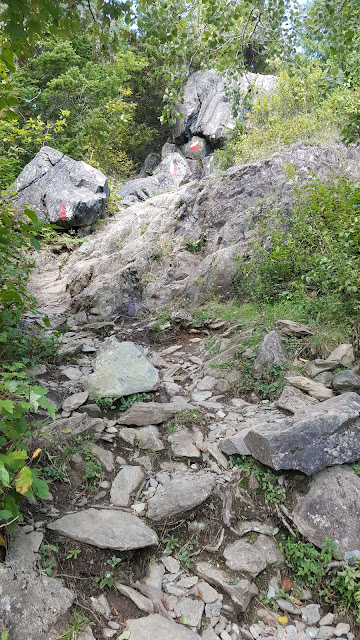 Sentiers avec de nombreuses roches vers le sommet du mont Ham