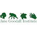 Job Opportunity at Jane Goodall Institute (JGI), Senior Administrative and Logistics Officer