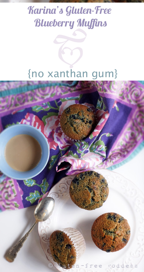 Gluten Free Goddess Recipes GlutenFree Blueberry Muffins No Xanthan Gum