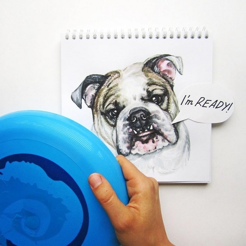 18-Playing-Fetch-Valerie-Susik-Валерия-Суслопарова-Cats-and-Dogs-Interactive-Animal-Drawings-www-designstack-co