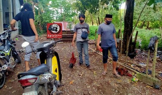 Team Gabungan Resmob Dan Personil Polsek Marbo, Berhasil Gagalkan Judi Sabung Ayam Di Desa Banggae 
