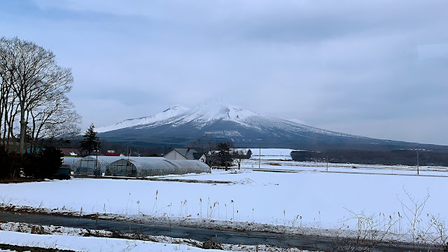 Plant Inventory At 20 Timothy Ceanothus Americanus New Jersey Tea