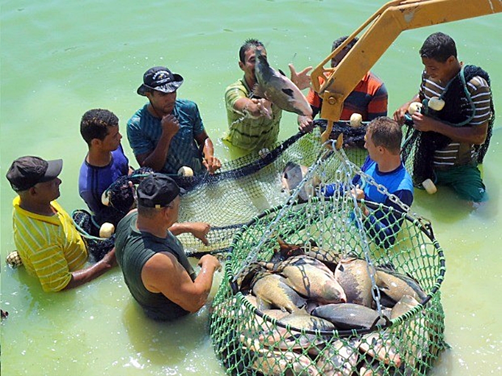 Ministério de Pesca e Aquicultura realiza
