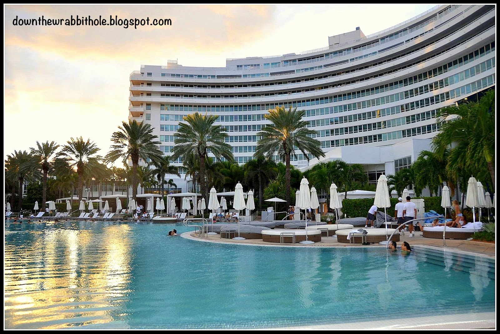 Down the Wrabbit Hole The Travel