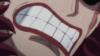 ワンピースアニメ ワノ国編 | ユースタスキッド ギザ男 | CV.浪川大輔 | EUSTASS KID | ONE PIECE | Hello Anime !