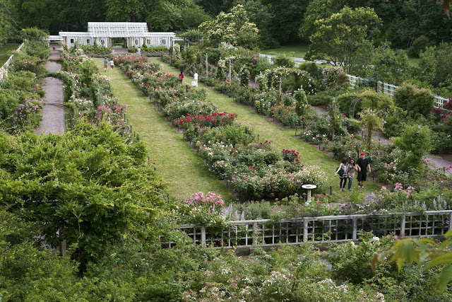 Brooklyn Botanic Garden