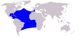 Atlantik benekli yunusu doğal yaşam alanı haritası