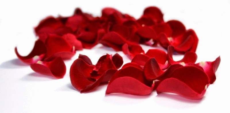 My Blossoming Mind: Scene #1: Valentine Mission