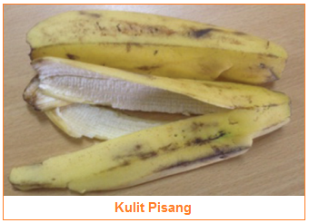 Bunga pisang yang berada pada jantung pisang mengandung saponin yang berguna untuk