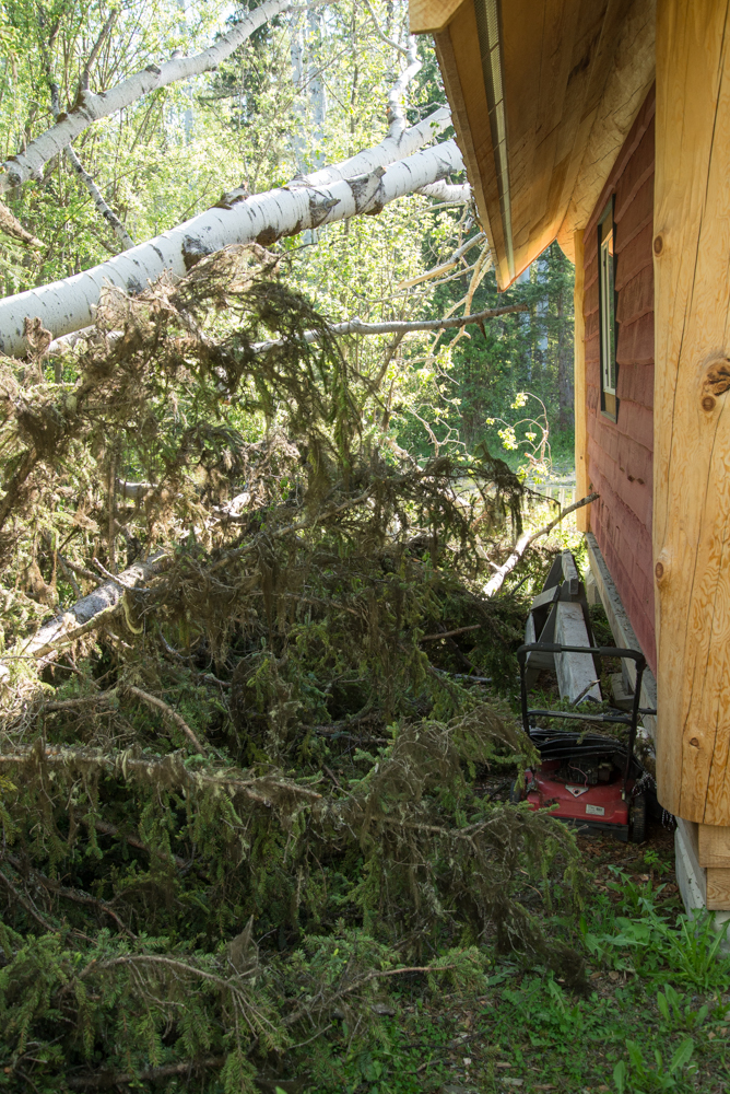 Small Log Cabin for Sale at Horsefly Lake BC, British Columbia, Canada