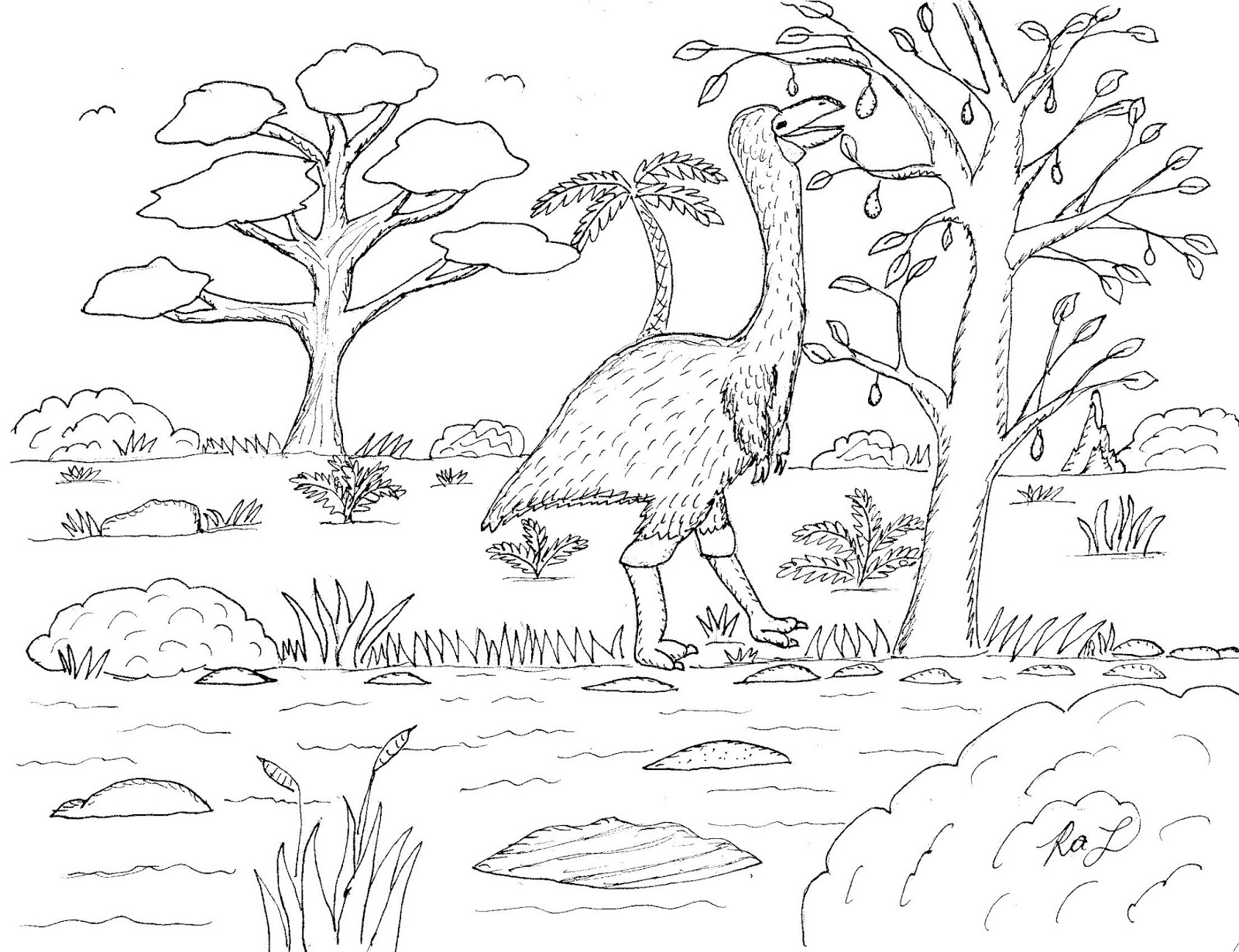 Robin's Great Coloring Pages: Birds Of Australia Coloring Pages - Robin's Great Coloring Pages: Birds Of Australia Coloring Pages