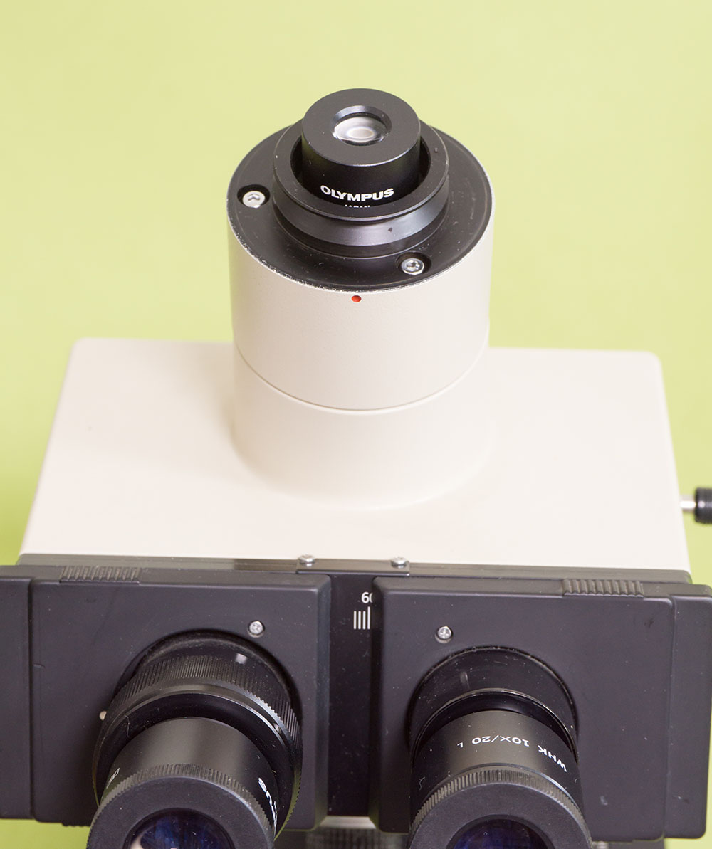 Microscope camera adapter for Olympus trinocular head. (MCAOOR)