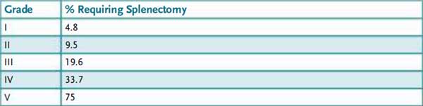 Blunt Trauma Case