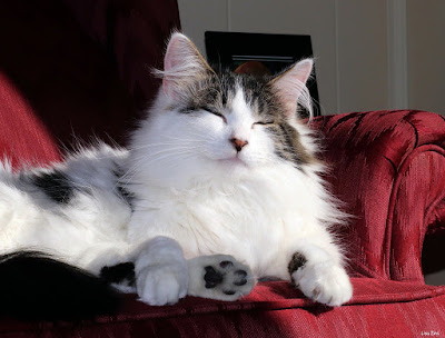 Fw: [塔羅] 于玥命理/週運勢(12/15-12/20)