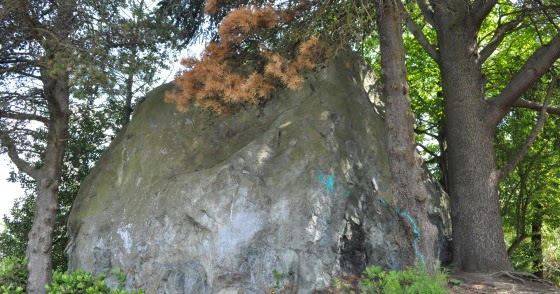 Own a Piece of the Rock: Wedgwood Rock