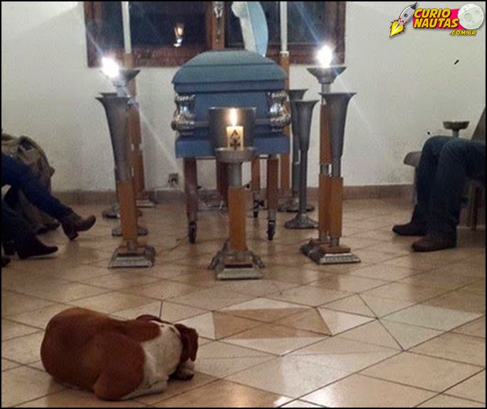 Clique aqui para acessar...