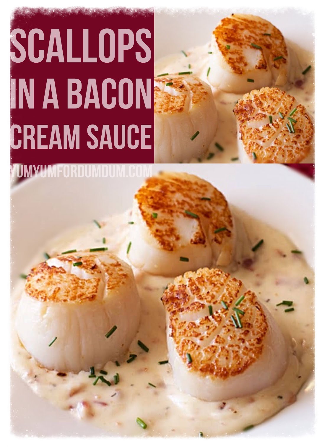 Yum Yum for Dum Dum Scallops in a Bacon Cream Sauce
