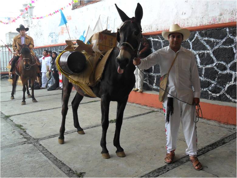 Portal de la cultura tradicional de Xalatlaco: Danza de Arrieros de